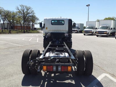 2024 Chevrolet Low Cab Forward 4500 4500 HG LCF Gas