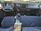 2027 ISUZU 4500 Base